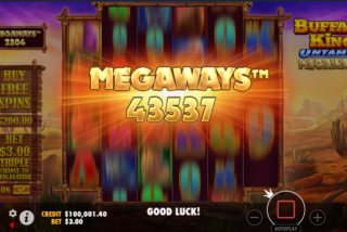 A random modifier can appear on any given spin