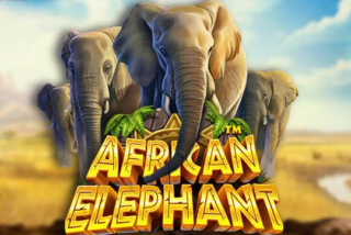 African Elephant