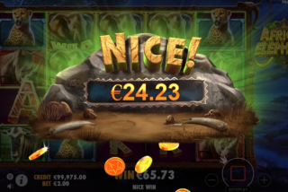 Big win in the African Elephant slot machine