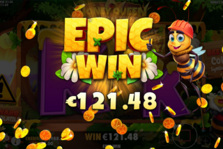Epic win in the Honey Honey Honey slot machine
