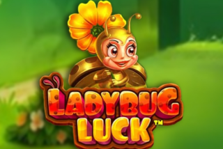 Ladybug Luck