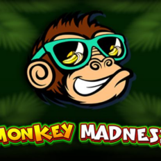 Monkey Madness