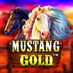 Mustang Gold
