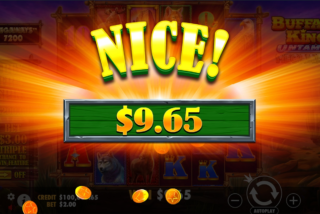 Nice win in the Buffalo King Untamed Megaways slot machine