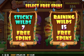 Player has two choices when Free Spins feature is triggered