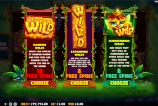 Players can choose out of 3 options for the bonus round