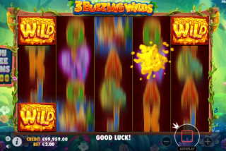 Random Wild symbols are one of the bonus features of the game