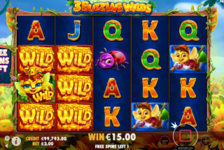 Surrounding Wilds from the Free Spins bonus round