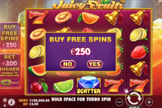 The buy-in option into the free spins bonus feature