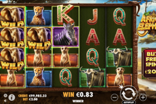 Win that includes the Wild Shape modifier